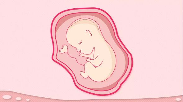 试管婴儿进周前检测雌激素是为什么？雌激素对于排卵进周的意义